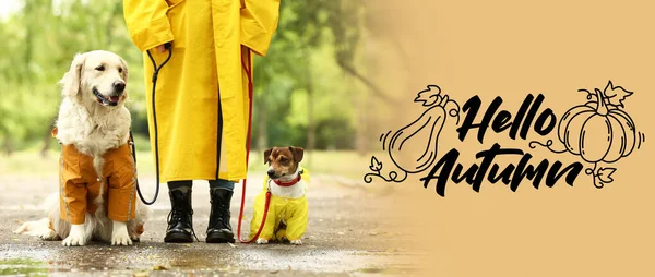 Banner with text HELLO AUTUMN, cute dogs and owner in raincoats outdoors
