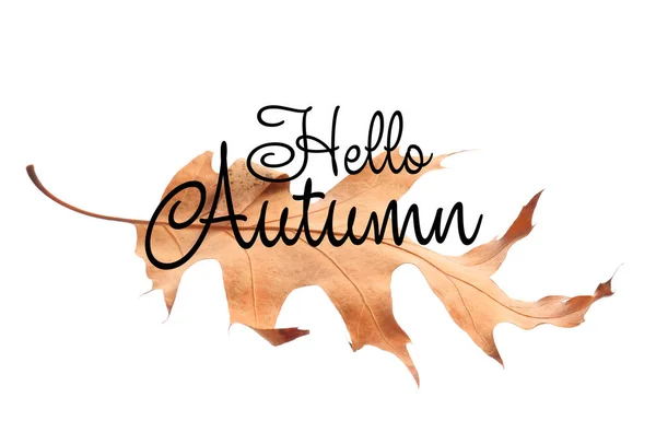 Banner Textem Hello Autumn Spadlým Listem — Stock fotografie
