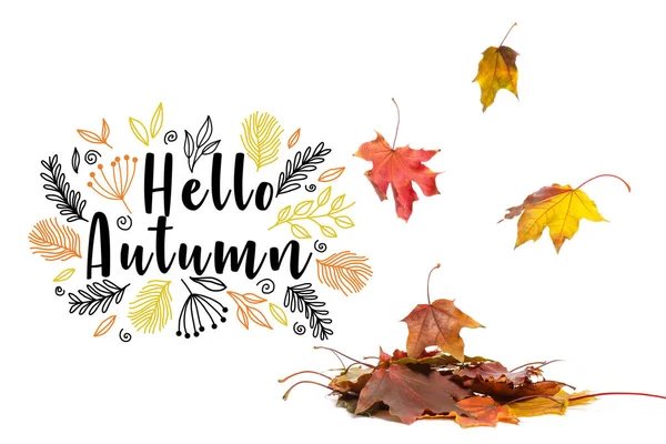 Banner Text Hello Autumn Falling Leaves — Stock Photo, Image