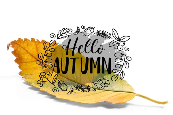 Banner Textem Hello Autumn Spadlým Listem — Stock fotografie