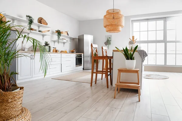 Interior Light Kitchen Stylish Fridge Counters Shelves Houseplants — Stock Photo, Image