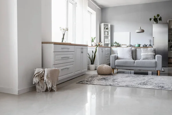 Interior Light Kitchen Stylish Fridge Counters Sofa Shelving Unit — Stock Photo, Image
