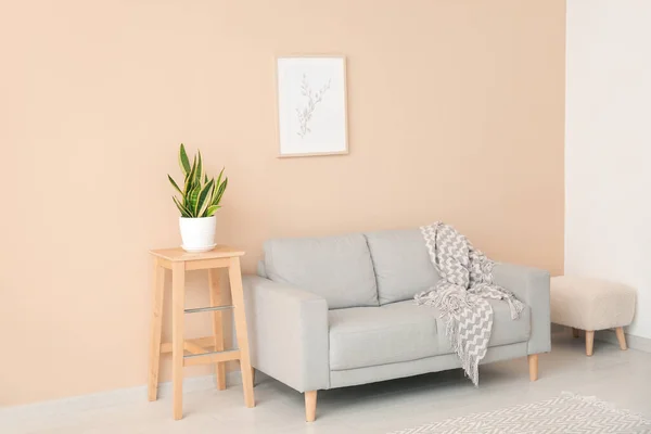 Innenraum Des Wohnzimmers Mit Sofa Und Zimmerpflanze — Stockfoto