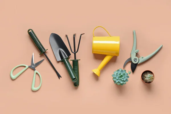 Set Gardening Tools Beige Background — Stock Photo, Image