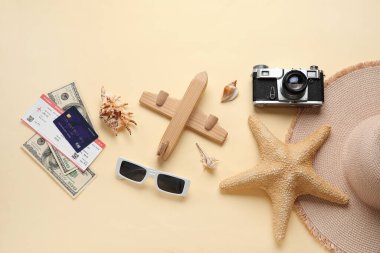 Ahşap uçak, fotoğraf makinesi, kredi kartı ve para ile renklendirilmiş kompozisyon