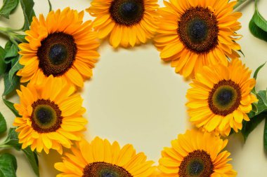 Açık yeşil zemin üzerinde güzel ayçiçeklerinden yapılmış çerçeve