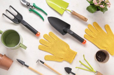 Different gardening tools on light background clipart