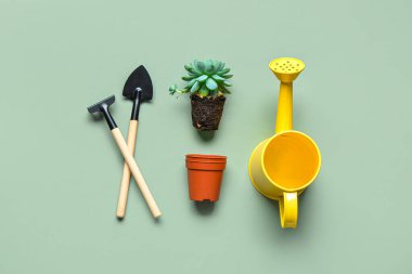 Bahçe tırmığı, kürek, su kovası ve yeşil arka planda bitki.