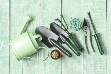 Yeşil ahşap arka planda bahçe aletleri seti