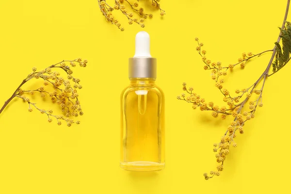Composition Bottle Essential Oil Dried Mimosa Flowers Yellow Background — Stock Photo, Image