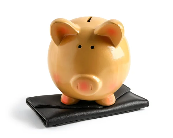 Orange Piggy Bank Wallet Isolated White Background — Stock Photo, Image