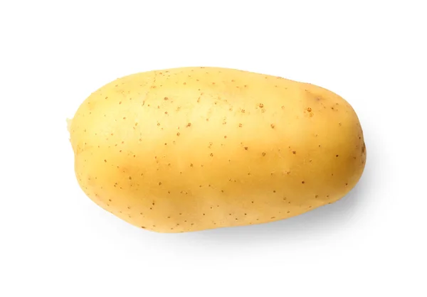 Raw Potato Isolated White Background — Stock Photo, Image