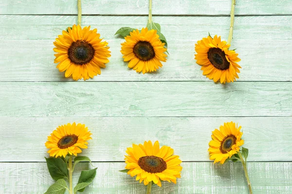 Rahmen Aus Schönen Sonnenblumen Auf Grünem Holzgrund — Stockfoto
