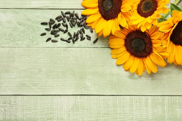 Schöne Sonnenblumen Und Samen Auf Grünem Hintergrund — Stockfoto