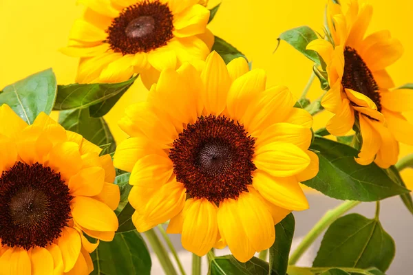 Schöne Sonnenblumen Wohnzimmer Nahaufnahme — Stockfoto
