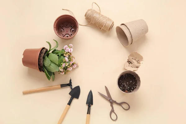 Keret Készült Különböző Kertészeti Eszközök Növény Bézs Alapon — Stock Fotó