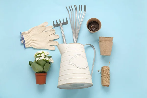 Different Gardening Tools Plant Blue Background — Stock Photo, Image