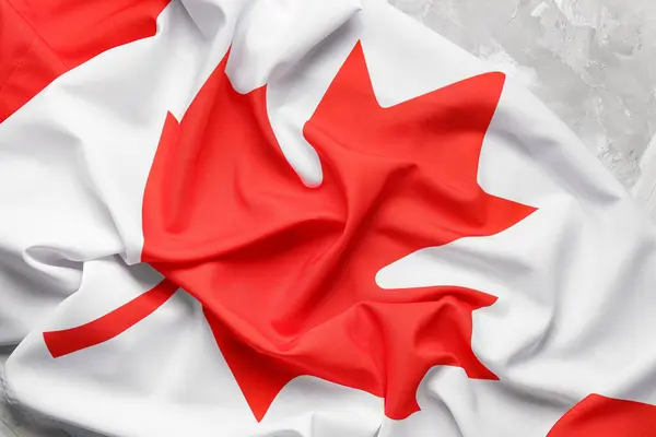 Flag Canada Grey Background — Stock Photo, Image