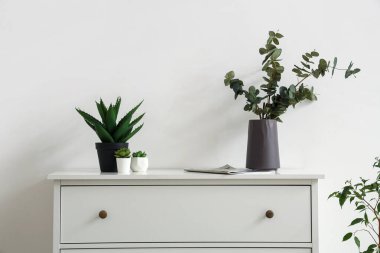 Beyaz duvarın yanında farklı ev bitkileri ve şarjörlü çekmeceler.