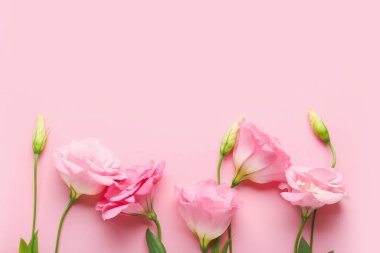 Renkli arkaplanda güzel pembe Eustoma çiçekleri