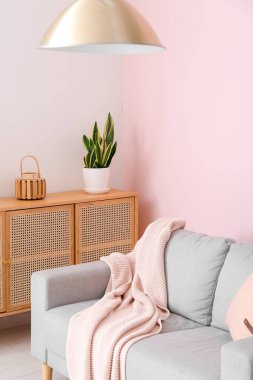 Kanepesi ve çekmeceleri olan bir oturma odası.