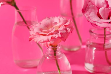 Pembe arka planda güzel Eustoma çiçekleri olan cam şişeler, yakın plan.