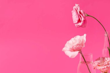 Pembe arka planda güzel Eustoma çiçekleri olan cam şişeler, yakın plan.