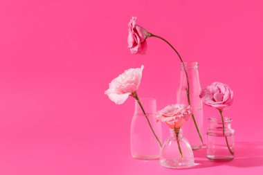 Pembe arka planda güzel mutluluk çiçekleri olan cam şişeler.