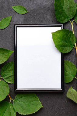 Boş fotoğraf çerçevesi ve siyah arkaplanda yapraklar