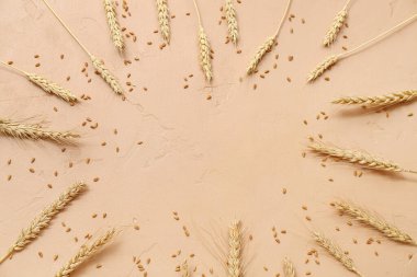 Bej arkaplandaki buğday kulaklarından yapılmış çerçeve
