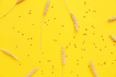 Sarı arka planda buğday kulakları ve tahıllar