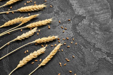 Buğday kulakları ve tahıllar siyah grunge masasında