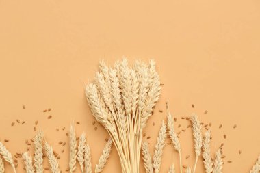 Bej arka planda buğday kulakları ve tahıllar