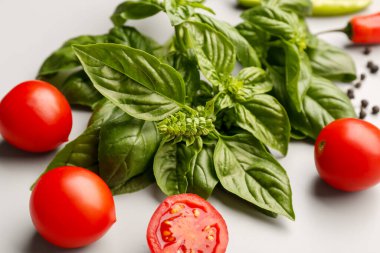 Gri arka planda taze fesleğen ve kiraz domatesleri.