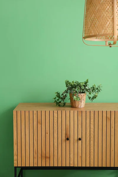 Стильный Деревянный Шкаф Домашним Растением Зеленой Стены — стоковое фото