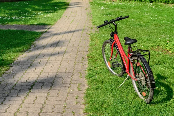 New Stylish Bicycle Park Summer Day — Stock Photo, Image