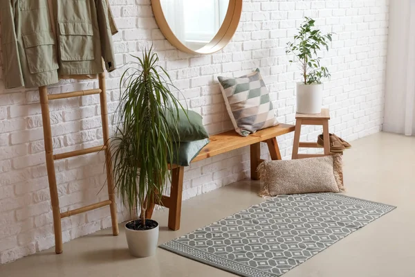 带木制长椅 镜子和室内植物的走廊内部 — 图库照片