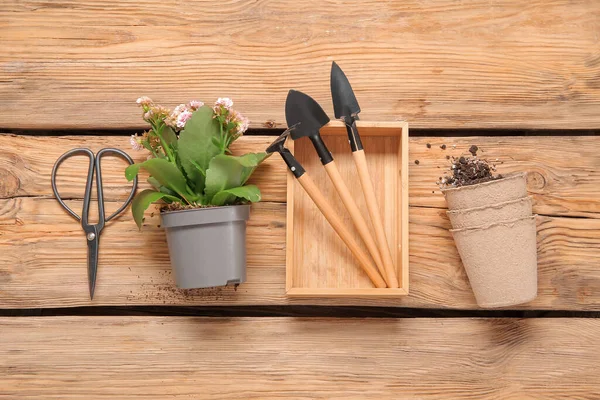 Pots Plant Different Gardening Tools Wooden Background — Stock Photo, Image