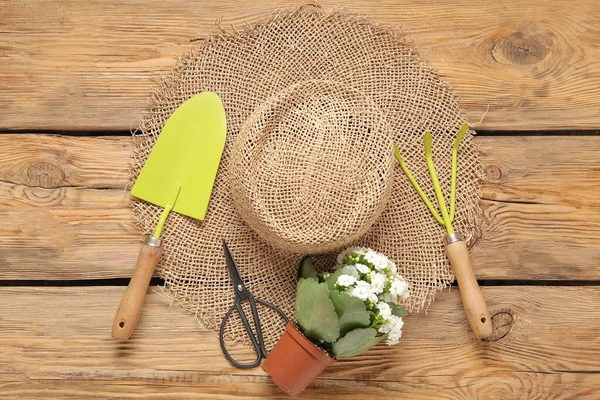 Straw Hat Pot Plant Gardening Tools Wooden Background — Stock Photo, Image