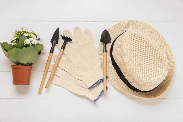 Hat Pot Plant Gardening Tools Light Wooden Background — Stock Photo, Image
