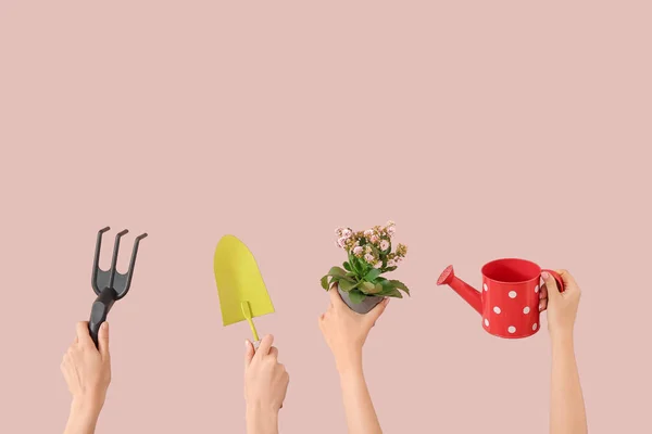 Women Plant Different Gardening Tools Pink Background — Stock Photo, Image