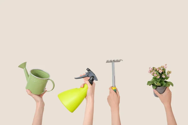 Women Plant Different Gardening Tools Light Background — Stock Photo, Image