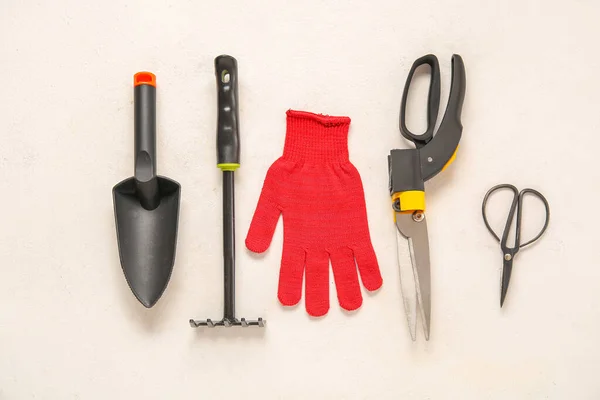 Different Gardening Tools Light Background — Stock Photo, Image