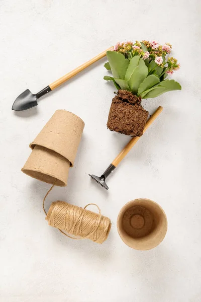 Different Gardening Tools Plant Light Background — Stock Photo, Image