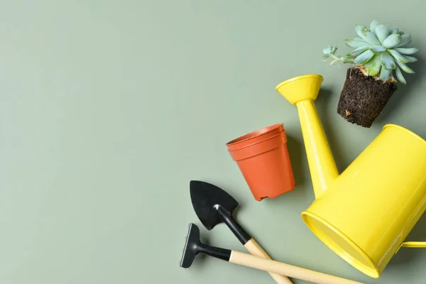 Gardening Rake Shovel Watering Can Plant Green Background — Stock Photo, Image
