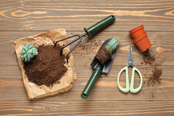 Gardening Rake Shovel Plants Soil Wooden Background — Stock Photo, Image