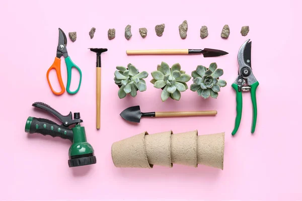 Composition Gardening Tools Succulent Plants Pink Background — Stock Photo, Image