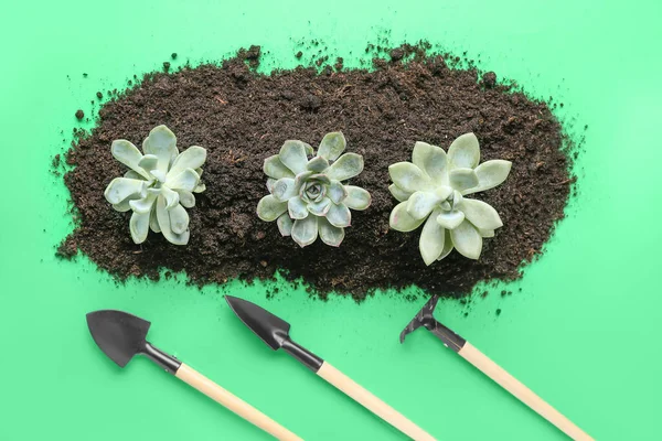 Gardening Tools Succulent Plants Soil Green Background — Stock Photo, Image