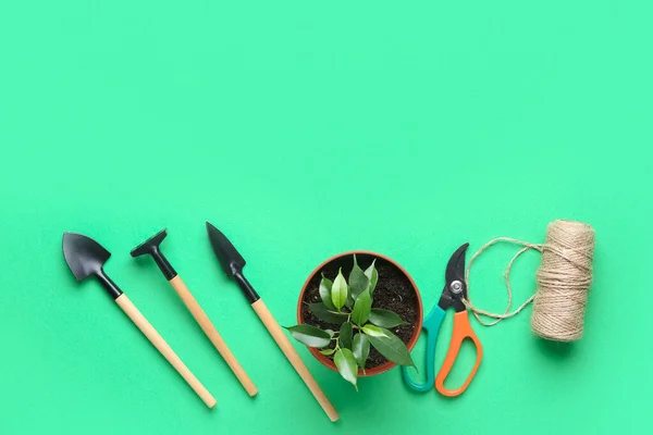 Kertészeti Eszközök Növények Zöld Háttérrel — Stock Fotó