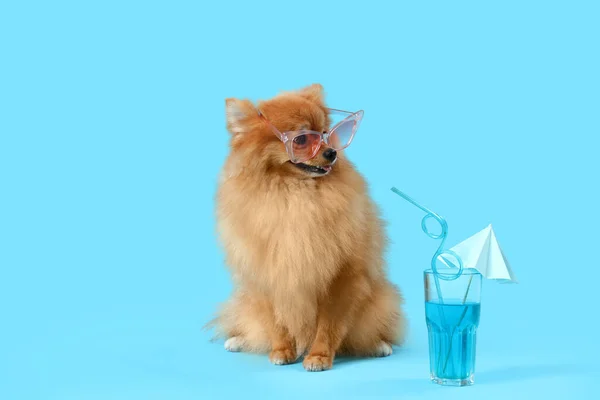 Cão Bonito Pomerânia Óculos Sol Com Coquetel Verão Fundo Azul — Fotografia de Stock